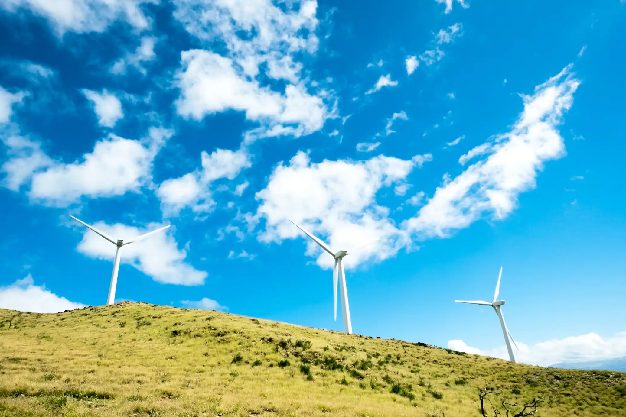 Smart Environmental Solutions