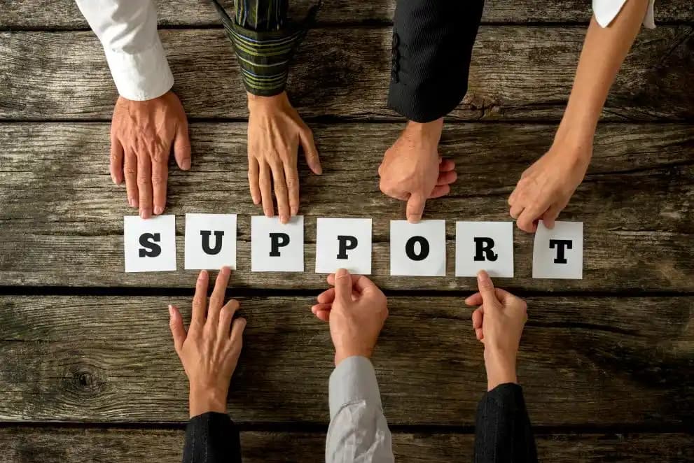 Procurement & Tender Support