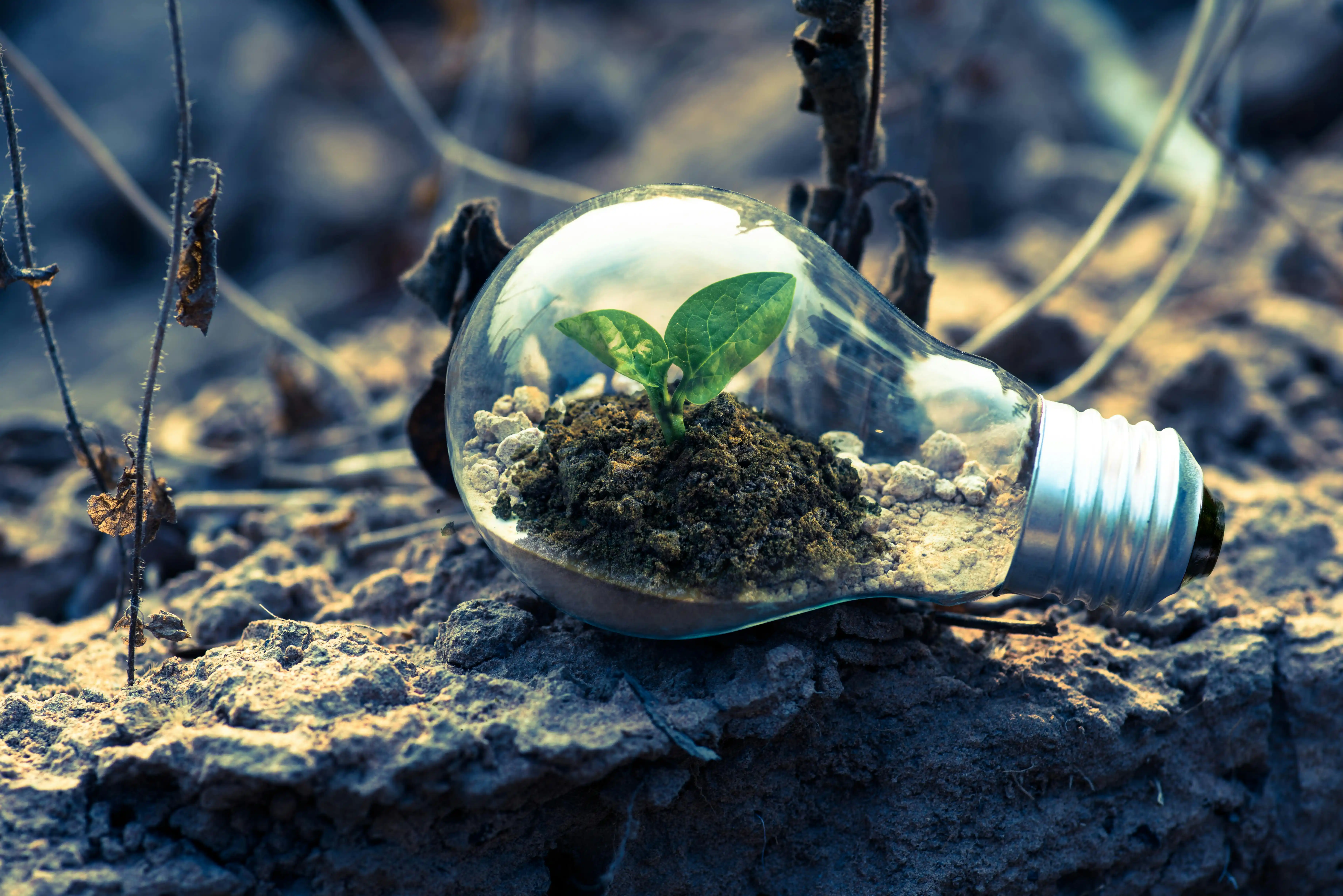 Carbon Capture & Sequestration (CCS)